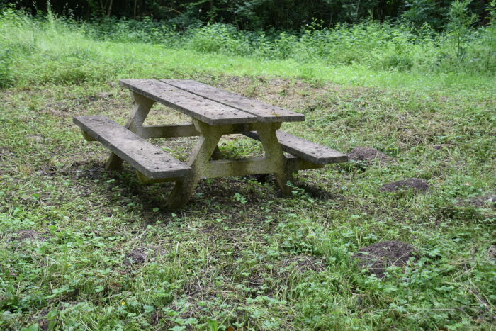 Table de pique-nique.JPG OTOA