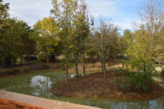 DSC_0117.JPG Othentic'natur