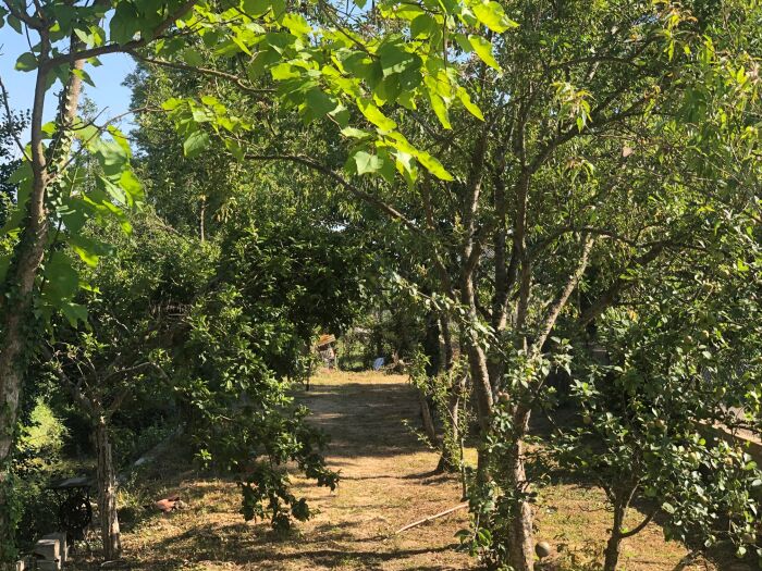 GITE DES REMPARTS Jacques-François NOEL