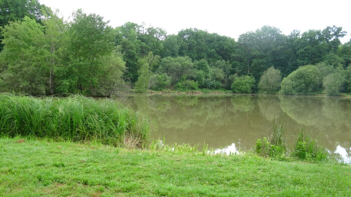 Etang de Marolles-sous-Lignières.JPG OTOA