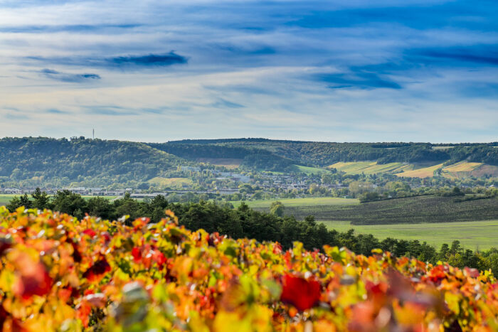 Bar-sur-Aube.jpg JM5 photographie