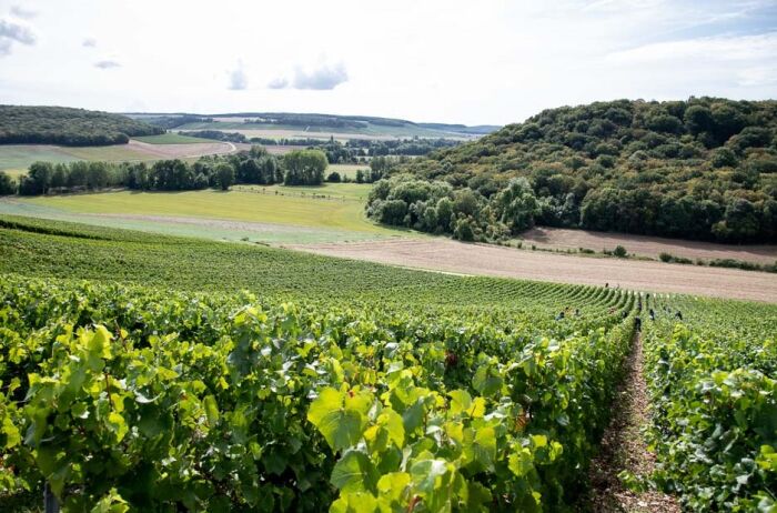 Champagne Binon Coquard.jpg Champagne Binon Coquard