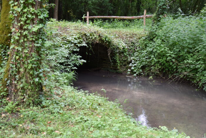 Route de Champgiron, lieu-dit Le Petit Bois romain.JPG OTOA