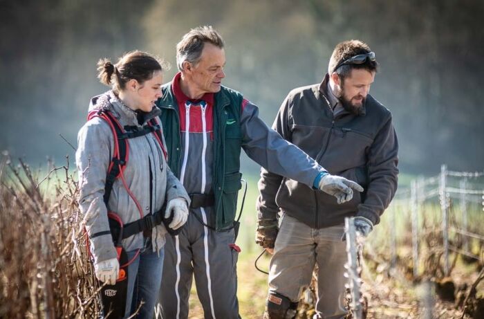 Champagne Binon Coquard.jpg Champagne Binon Coquard