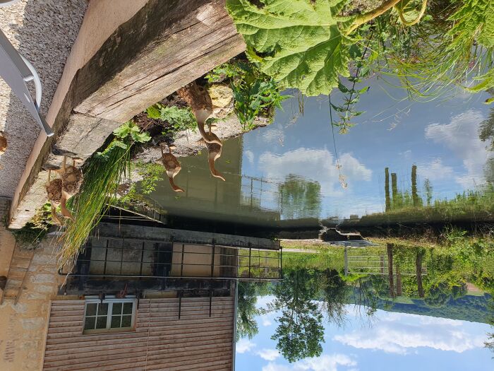 Le Moulin de la Vanne à Saint Benoist ©Tabéa Posteaux