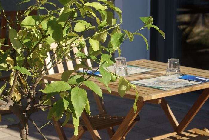 DSC03018.JPG L'auberge sans nom