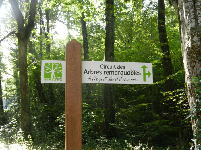 Signalétique ©Tabéa Posteaux