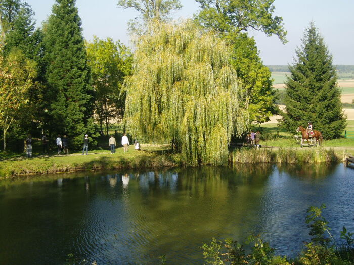 Ferme équestre de Lagesse - Etang.JPG ©Brunaud Paul-François