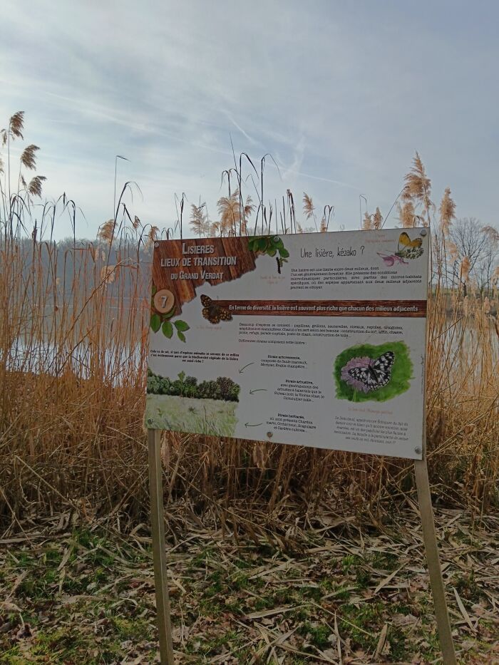 IMG_20250219_162439.jpg OTGLC - A. Pankow