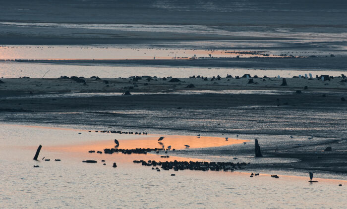 Lacs_crédit  C.Tomasson.JPG C.Tomasson