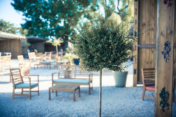 La Guiguette.jpg Le Bonheur des Gens