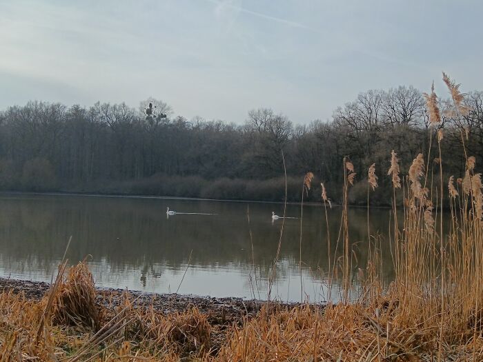 IMG_20250219_162713.jpg OTGLC - A. Pankow