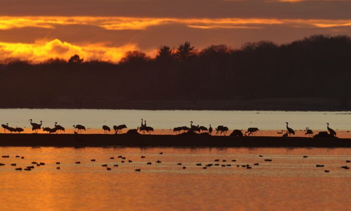 Couché Soleil__crédit  C.Tomasson.jpg C.Tomasson