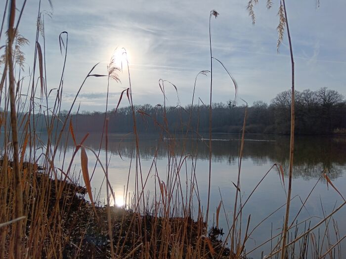 IMG_20250219_162403.jpg OTGLC - A. Pankow