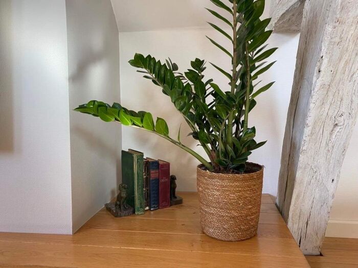 Le Troyes Clocher - ©J. Bol (18).JPG ©J. Bol