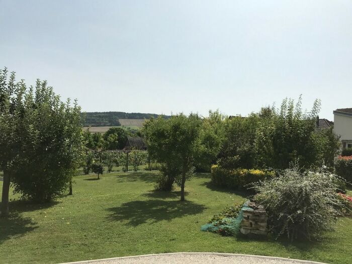 Au Chant du Coq - ©T. Jacquinet (12).jpg ©T. Jacquinet