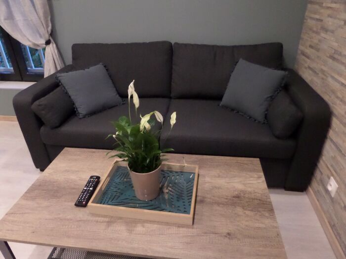 salon.JPG ©GRADOS Jérôme et MARCILLY Julie