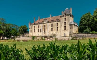 Château de Vendeuvre